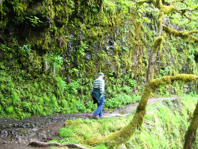 Eagle Creek-136.JPG - Eagle Creek